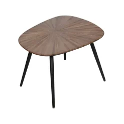 Salontafels|Bijzettafels< Bijzettafel Rhone Bruin - set 2 stuks