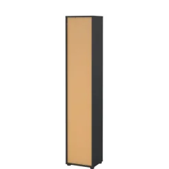 Boekenkasten|Wandkasten< Boekenkast Bram Donkergrijs / Eiken - 41x205x35 cm