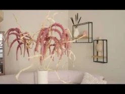 Eetkamerstoelen< Draaibare Eetkamerstoel Selnass Roze