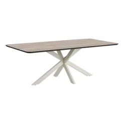 Eettafels< Eettafel Aarhus Beige - 220x100 cm