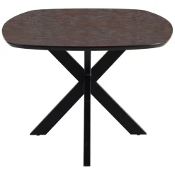 Eettafels< Eettafel Aarhus Grijs/Bruin - 220x105 cm