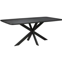 Eettafels< Eettafel Holendrecht Zwart - 200x100 cm