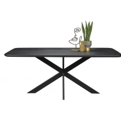 Eettafels< Eettafel Holendrecht Zwart - 200x100 cm