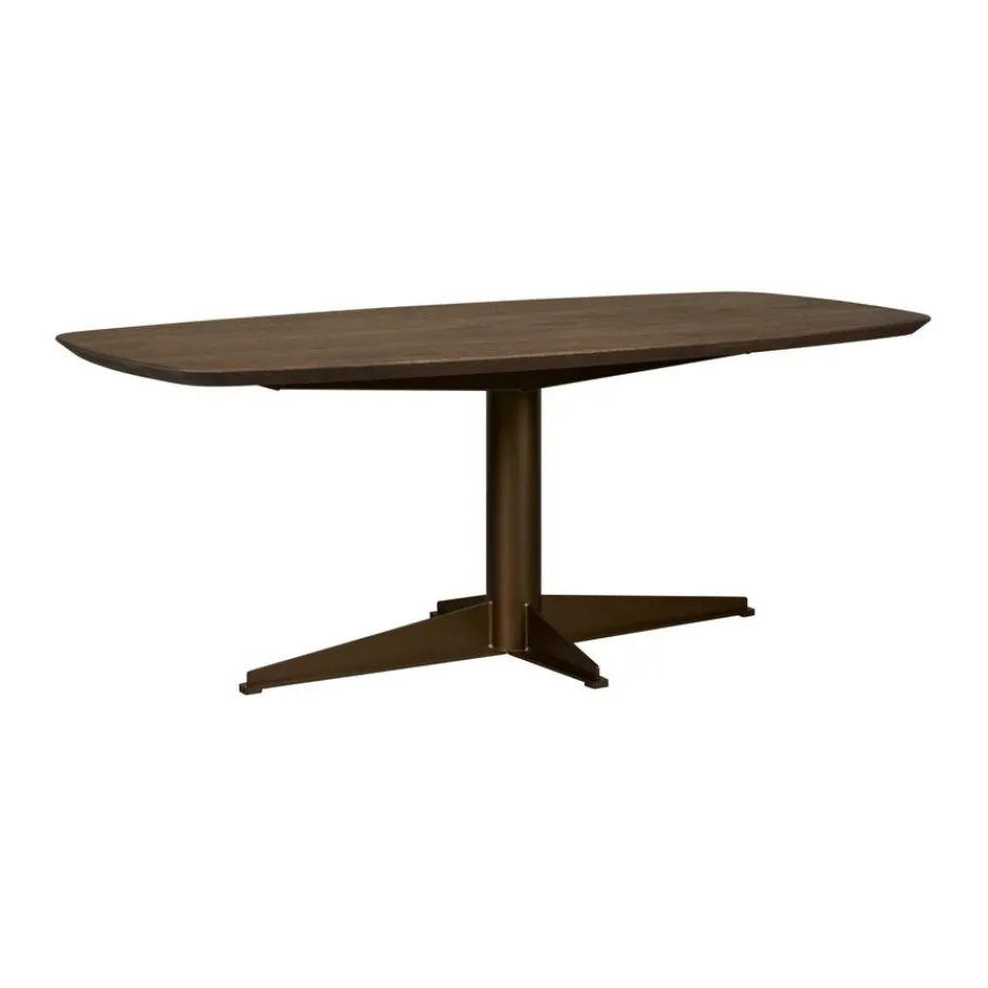 Eettafels< Eettafel Viborg Bruin - 200x100 cm