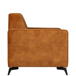 Fauteuils< Fauteuil Pampus Ondiep Cognac