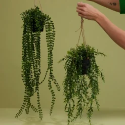 Kunstplanten & Bloemen< Hangplant Boxwood Groen - 50 cm hoog