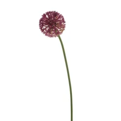 Kunstplanten & Bloemen< Kunstbloem Allium Fuchsia - 60 cm