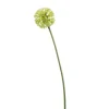 Kunstplanten & Bloemen< Kunstbloem Allium Groen - 60 cm