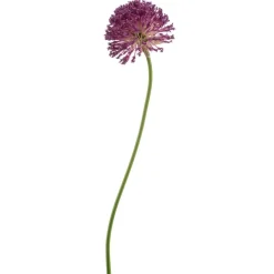 Kunstplanten & Bloemen< Kunstbloem Allium Paars - 72 cm