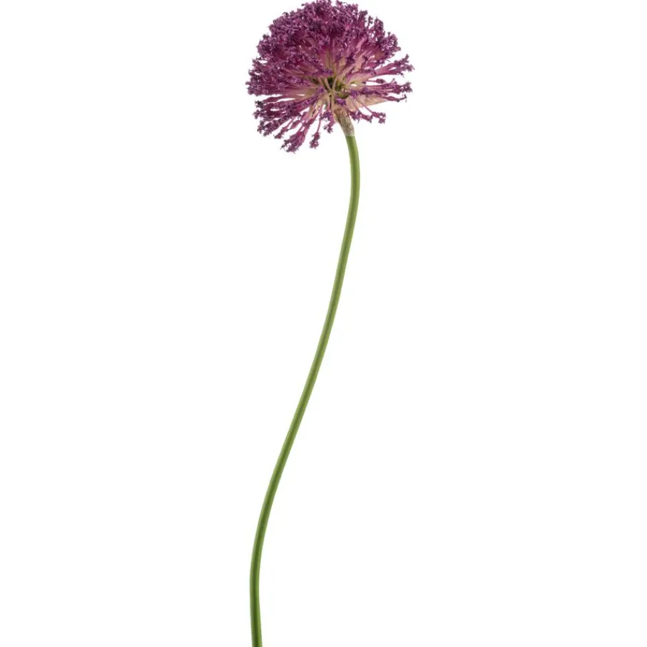 Kunstplanten & Bloemen< Kunstbloem Allium Paars - 72 cm