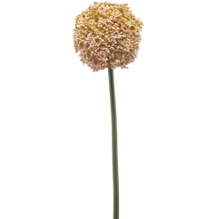Kunstplanten & Bloemen< Kunstbloem Allium Zalmroze - 74 cm