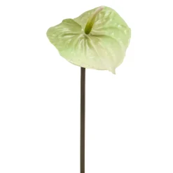 Kunstplanten & Bloemen< Kunstbloem Anthurium Groen - 65 cm