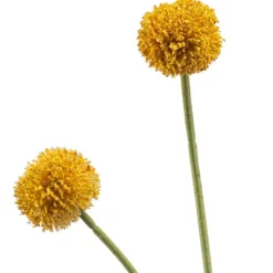 Kunstplanten & Bloemen< Kunstbloem Craspedia Oker - 69 cm