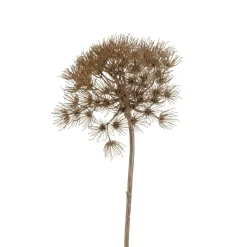 Kunstplanten & Bloemen< Kunstbloem Heracleum Bruin - 80 cm