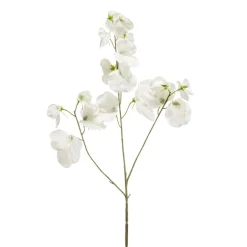 Kunstplanten & Bloemen< Kunstbloem Lathyrus Crème - 75 cm