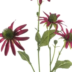 Kunstplanten & Bloemen< Kunstbloem Rudbeckia Fuchsia - 70 cm