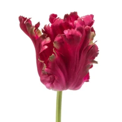 Kunstplanten & Bloemen< Kunstbloem Tulip Donkerroze - 68 cm