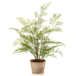 Kunstplanten & Bloemen< Kunstplant Adianthum Fern Groen - 65 cm hoog