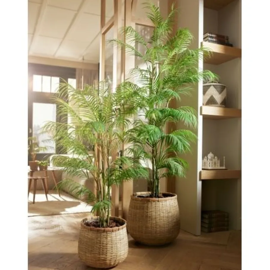 Kunstplanten & Bloemen< Kunstplant Chamaedorea Palm Groen - 120 cm hoog