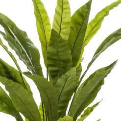 Kunstplanten & Bloemen< Kunstplant Fern Asplenium Groen - 90 cm hoog
