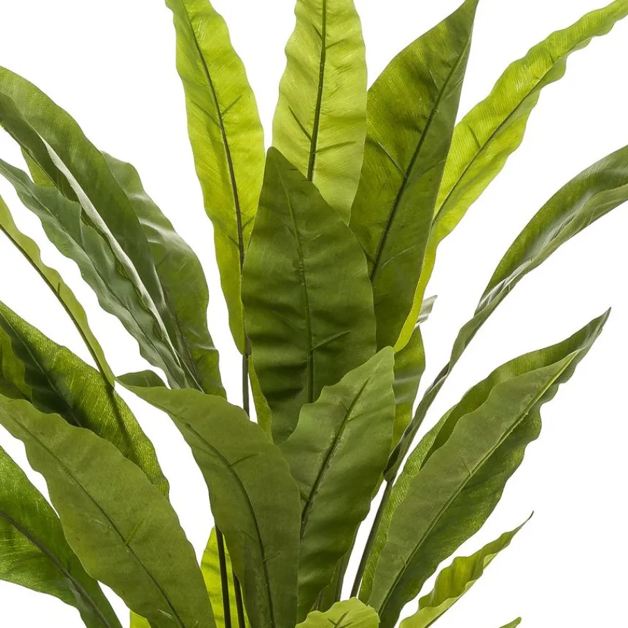 Kunstplanten & Bloemen< Kunstplant Fern Asplenium Groen - 90 cm hoog