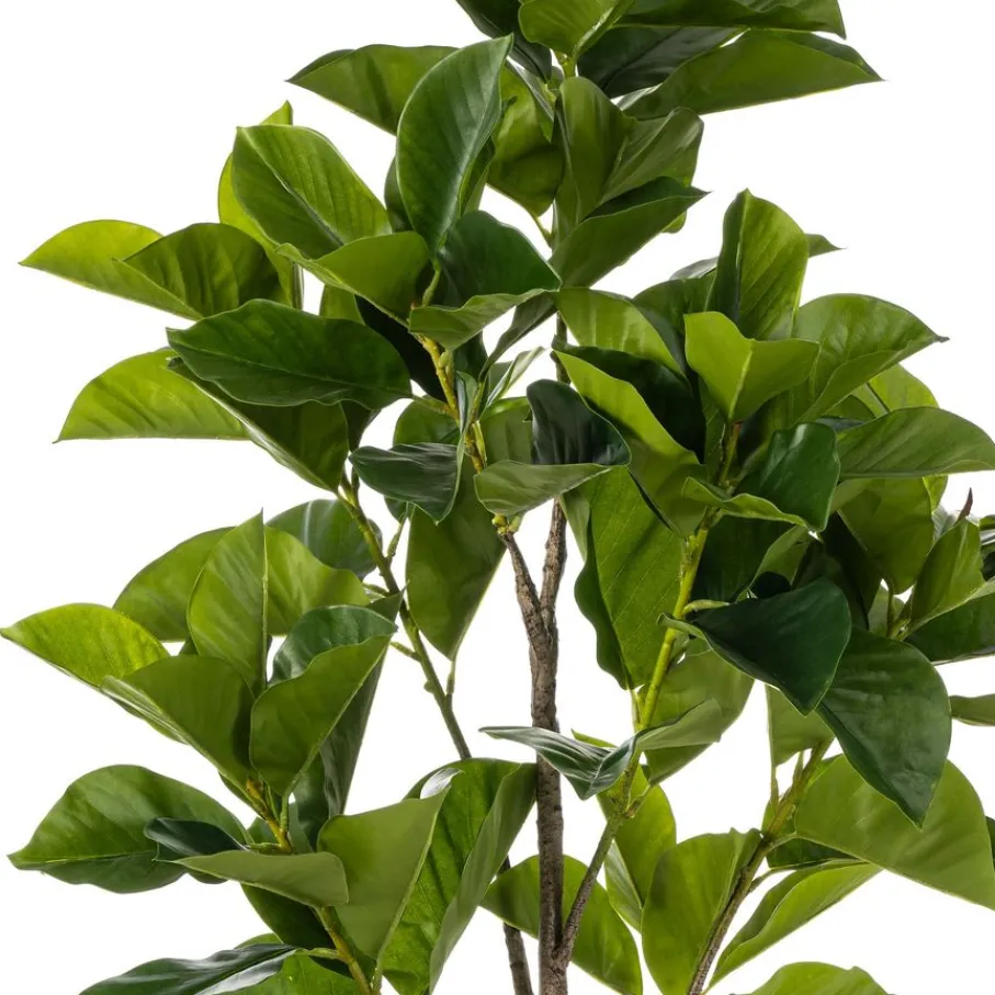 Kunstplanten & Bloemen< Kunstplant Ficus Benghalensis Groen - 170 cm hoog