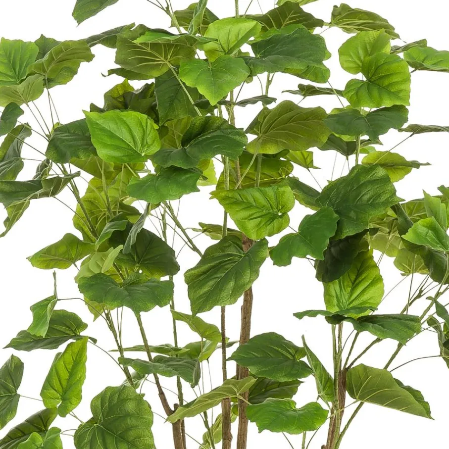 Kunstplanten & Bloemen< Kunstplant Ficus Umbellata Groen - 180 cm hoog