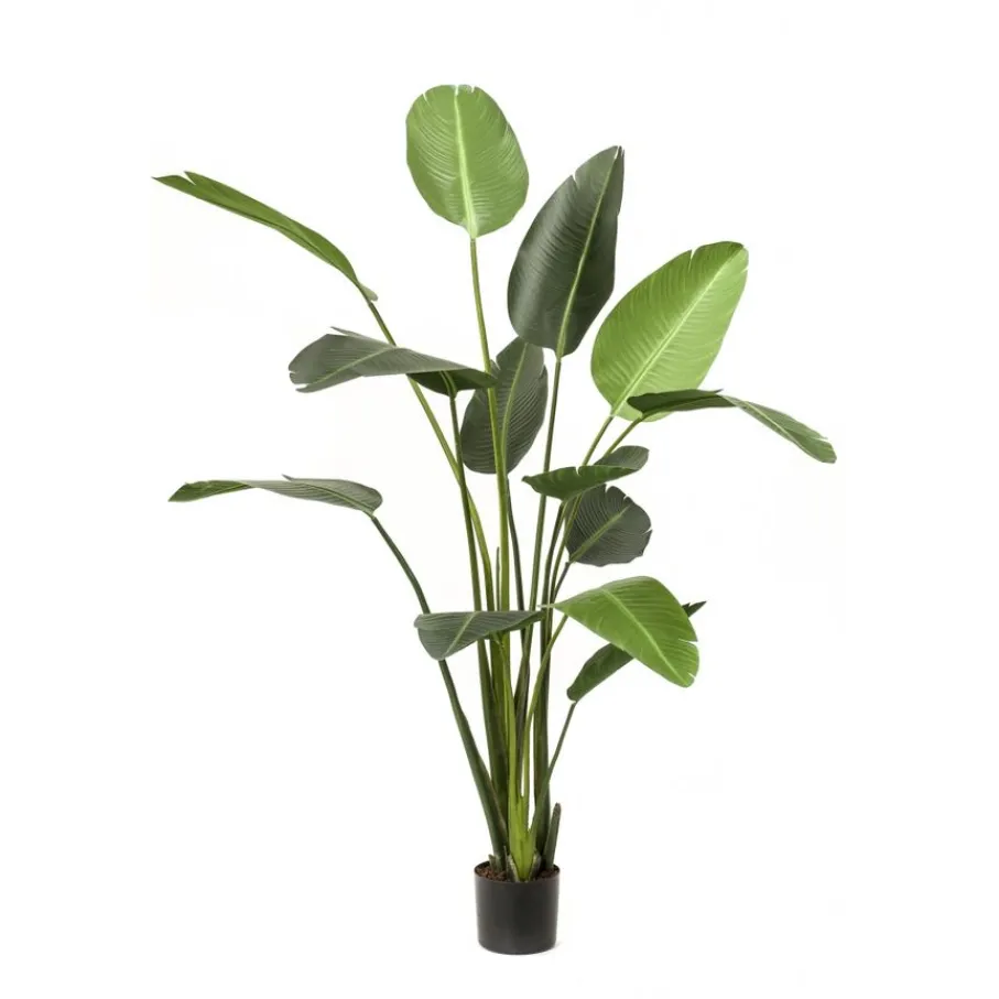 Kunstplanten & Bloemen< Kunstplant Strelitzia Groen - 230 cm hoog
