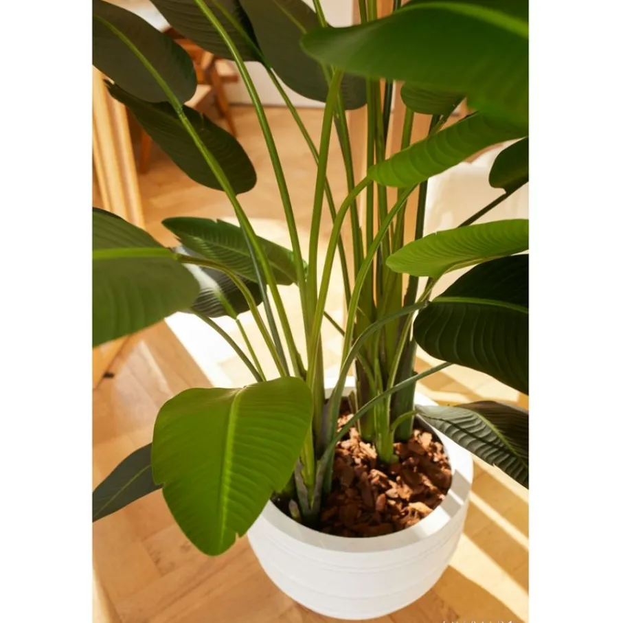 Kunstplanten & Bloemen< Kunstplant Strelitzia Groen - 230 cm hoog