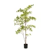 Kunstplanten & Bloemen< Kunstplant Terminalia Groen - 145 cm hoog