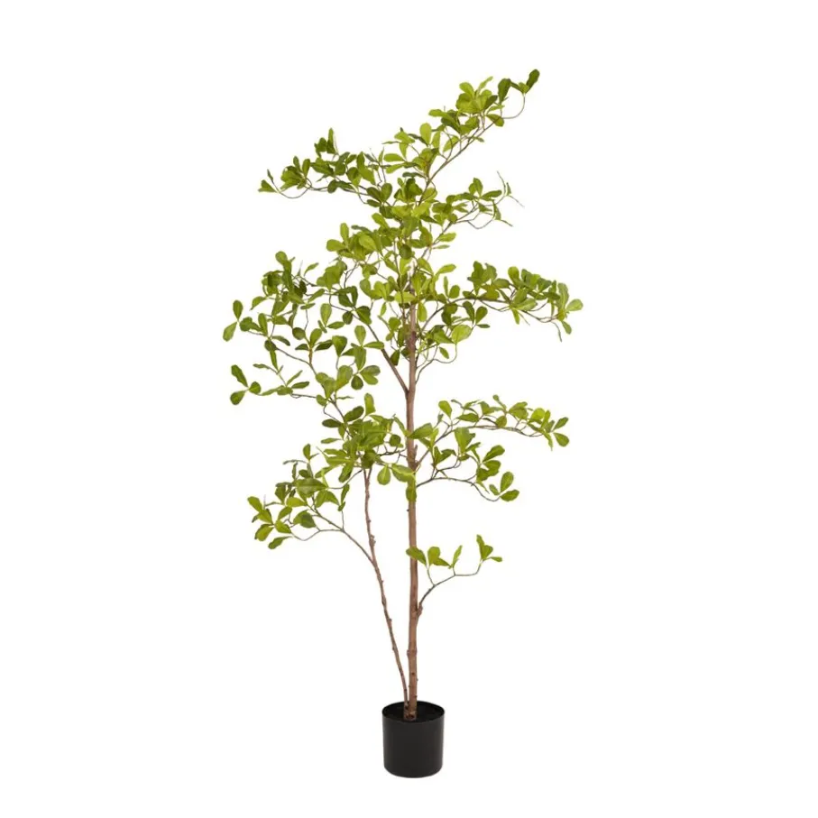 Kunstplanten & Bloemen< Kunstplant Terminalia Groen - 145 cm hoog