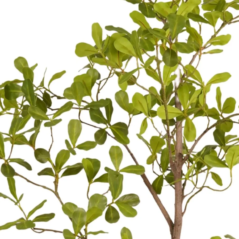 Kunstplanten & Bloemen< Kunstplant Terminalia Groen - 145 cm hoog