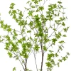 Kunstplanten & Bloemen< Kunstplant Tropaeolum Speciosum Groen - 120 cm hoog