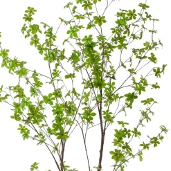 Kunstplanten & Bloemen< Kunstplant Tropaeolum Speciosum Groen - 120 cm hoog