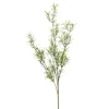 Kunstplanten & Bloemen< Kunsttak Asparagus Groen - 80 cm