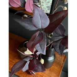 Kunstplanten & Bloemen< Kunsttak Eucalyptus Rood - 80 cm