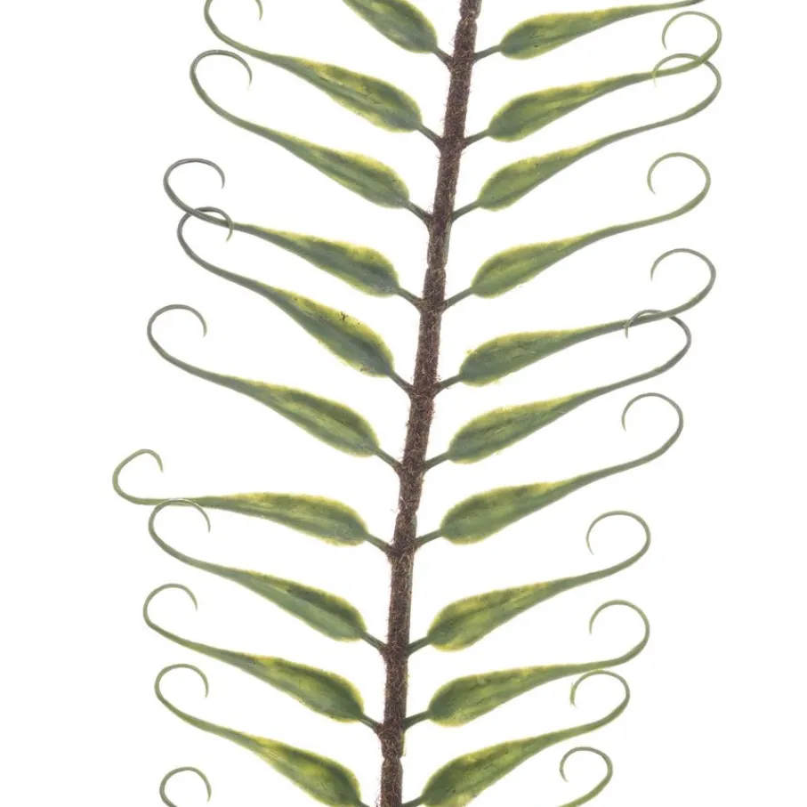 Kunstplanten & Bloemen< Kunsttak Fern Groen - 92 cm