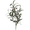 Kunstplanten & Bloemen< Kunsttak Olive Groen - 75 cm