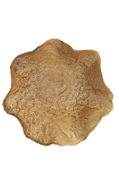 Schalen & Onderborden<Light - Living Light & Living Schaal Banda Bruin - 34x31 cm