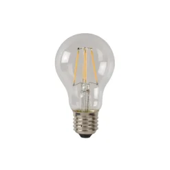 Lichtbronnen<Lucide Lichtbron A60 Transparant - E27 - Ø 6 cm