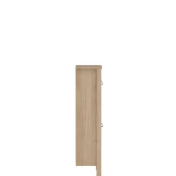 Opbergkasten|Schoenenkasten< Schoenenkast Dallas Eiken - 54x103x25 cm