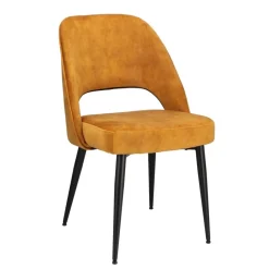 Eetkamerstoelen< Stoel Duiven Goud