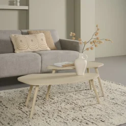 Bijzettafels<WOOOD Bijzettafel Davina Dust - set 2 stuks