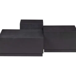 Bijzettafels<WOOOD Bijzettafel Pim Zwart - set 3 stuks
