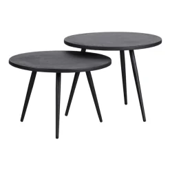 Bijzettafels<WOOOD Bijzettafel Suze Zwart - set 2 stuks