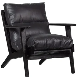 Fauteuils<WOOOD Fauteuil Houston Zwart