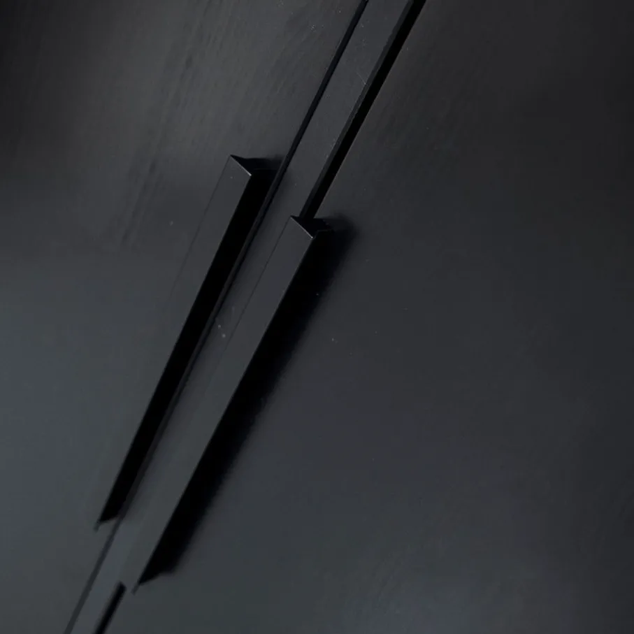 Kledingkasten<WOOOD Kledingkast Adam Zwart - 100x200x53 cm