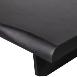 Salontafels<WOOOD Salontafel Cali Zwart - 120x55 cm