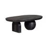 Salontafels<WOOOD Salontafel Steppe Zwart - 110x72 cm
